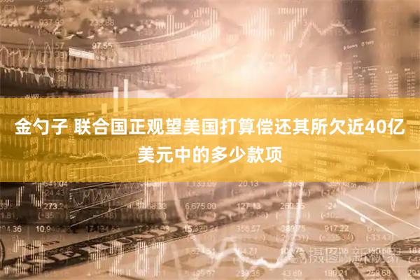 金勺子 联合国正观望美国打算偿还其所欠近40亿美元中的多少款项