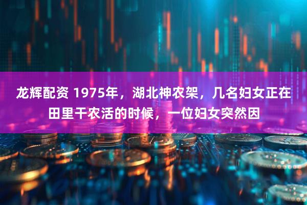 龙辉配资 1975年，湖北神农架，几名妇女正在田里干农活的时候，一位妇女突然因