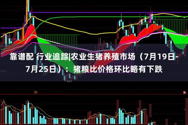 靠谱配 行业追踪|农业生猪养殖市场（7月19日-7月25日）：猪粮比价格环比略有下跌